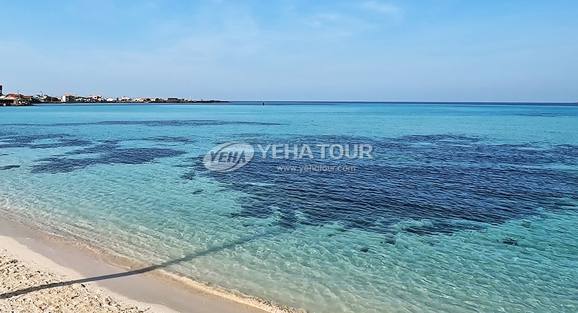 Jeju Day tour, Daily tour, Package, Driving, Hotel, Yeha Bus Tour - Day ...