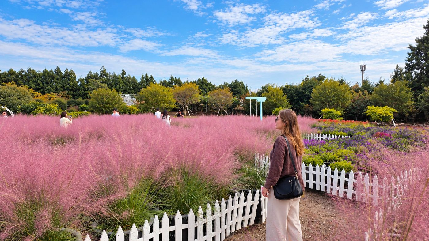 Pink muhly garden at Hueree Nature Life Park
